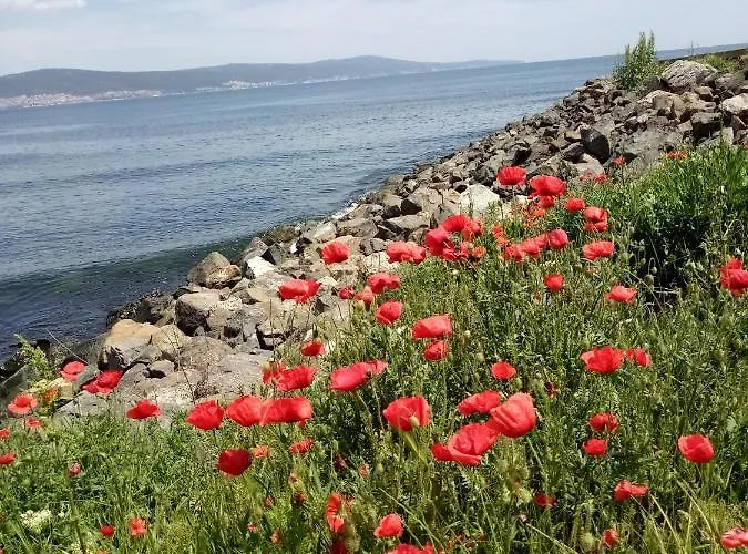 Aparthotel Apartcomplex Royal Sun Slantschew brjag