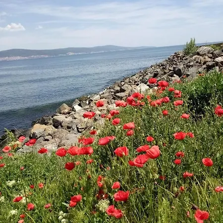 Aparthotel Apartcomplex Royal Sun Sunny Beach